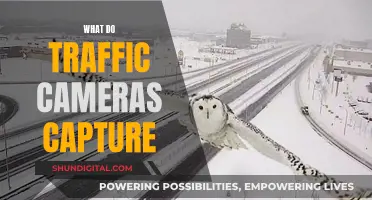 Traffic Cameras: Capturing Every Detail for Safety and Surveillance