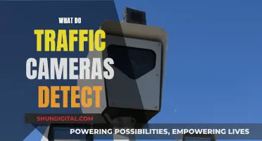 Traffic Cameras: Uncovering Their Detection Abilities and Limitations