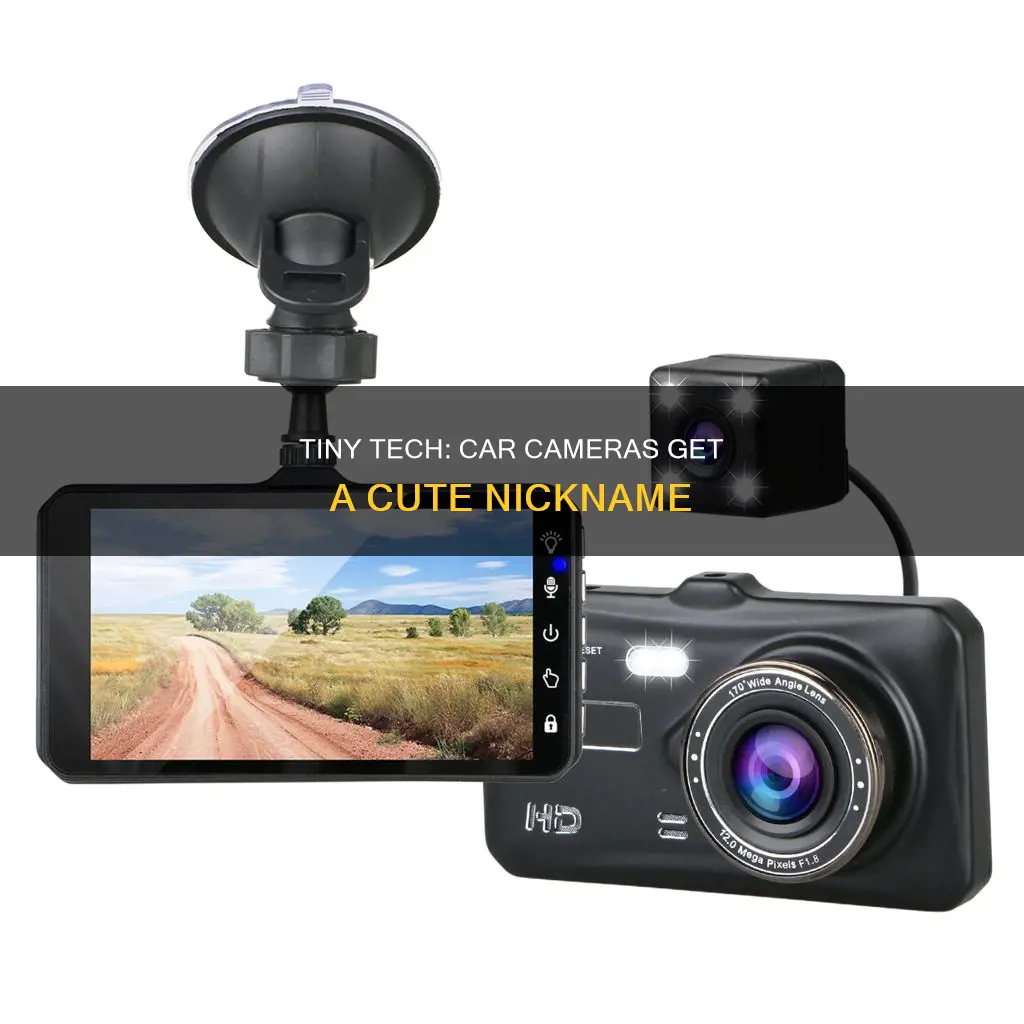 what do you call a little camera in car