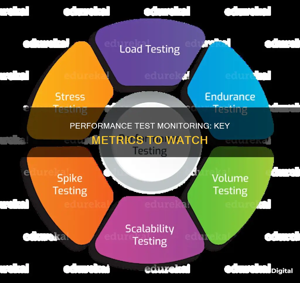 what do you monitor during performance test executions