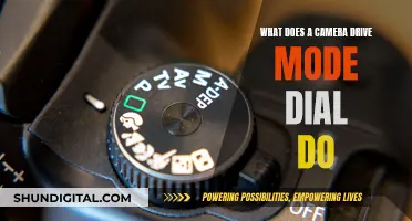 Understanding Your Camera's Drive Mode Dial