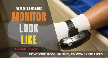 Ankle Monitors: What They Look Like and How They Work