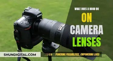 The Purpose of a Hood on Camera Lenses