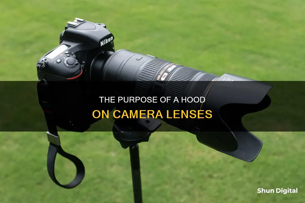 what does a hood do on camera lenses