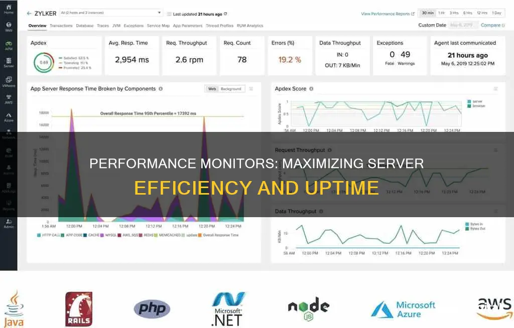 what does a performance monitor do for server