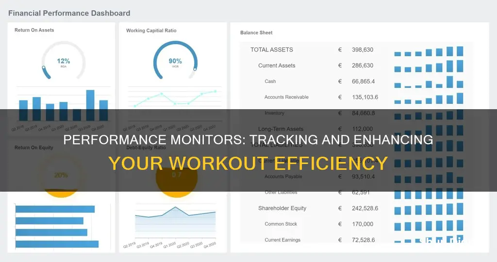 what does a performance monitor do