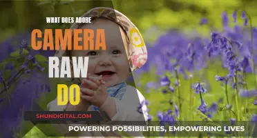 Unleashing Adobe Camera Raw: Editing Power for Photographers