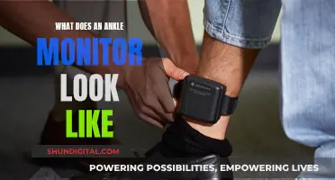 Ankle Monitors: What They Look Like and How They Work