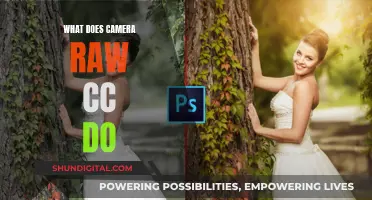 Unleash Photography with Camera Raw CC