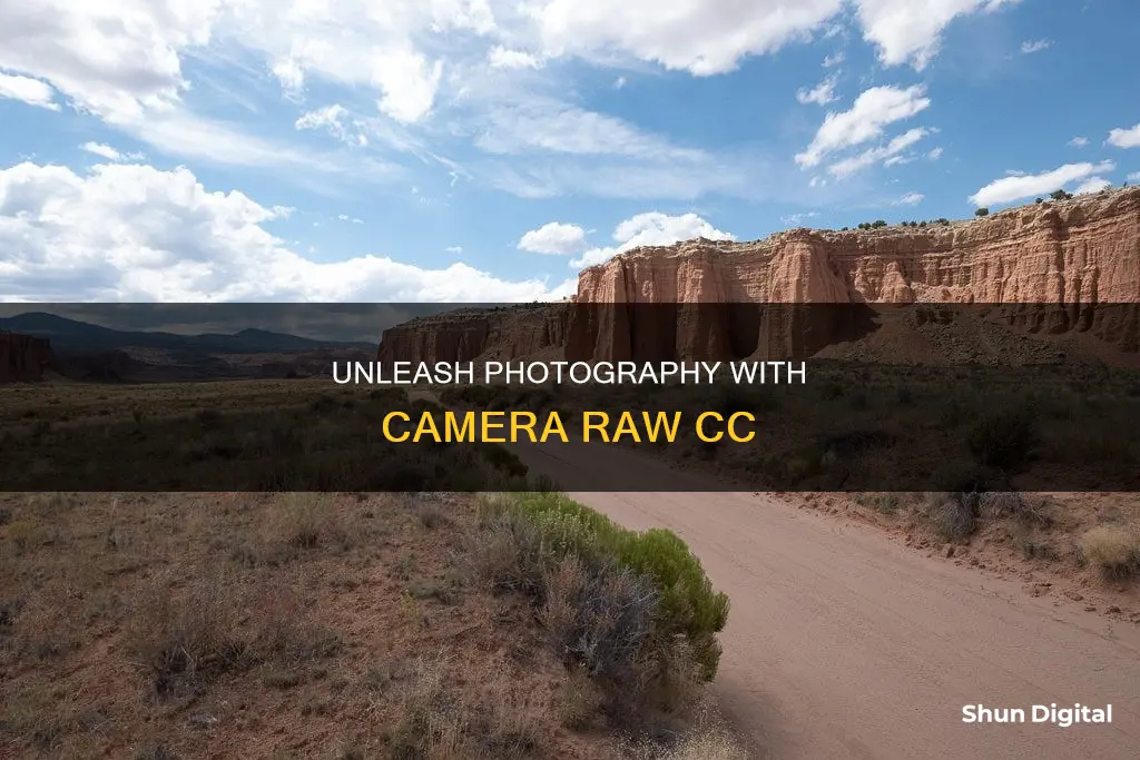 what does camera raw cc do