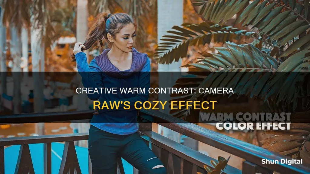 what does camera raw creative warm contrast do