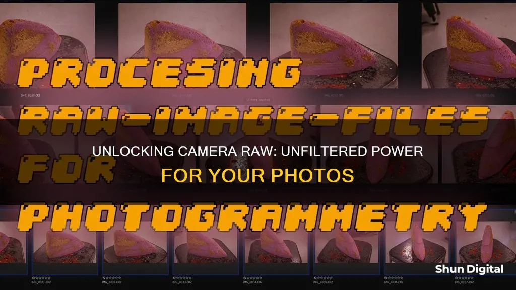 what does camera raw do