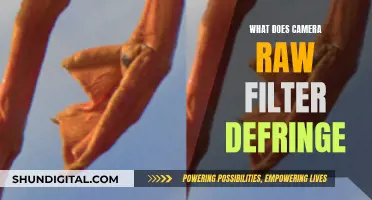 Understanding the Camera Raw Defringe Filter