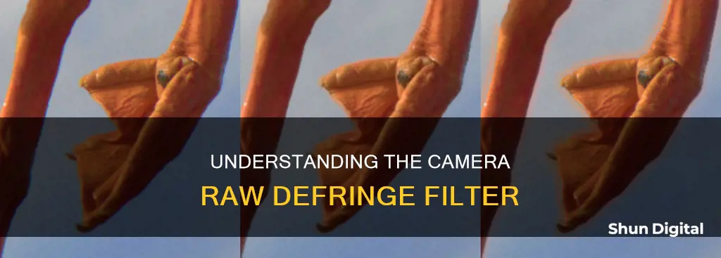 what does camera raw filter defringe