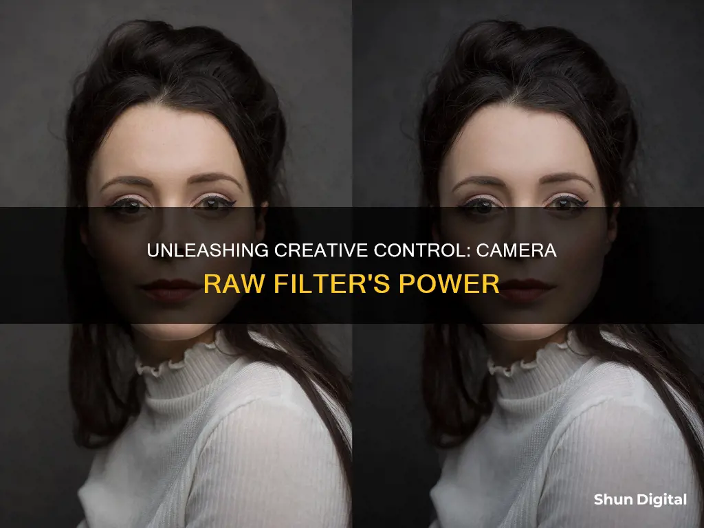 what does camera raw filter do