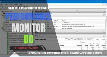 Performance Monitor: Understanding Data Collector's Role