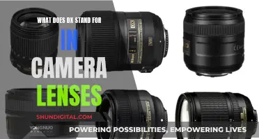 Understanding DX Camera Lenses: What Does It Mean?