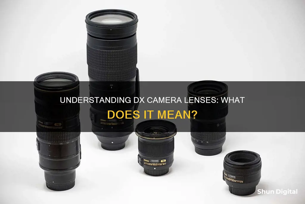 what does dx stand for in camera lenses