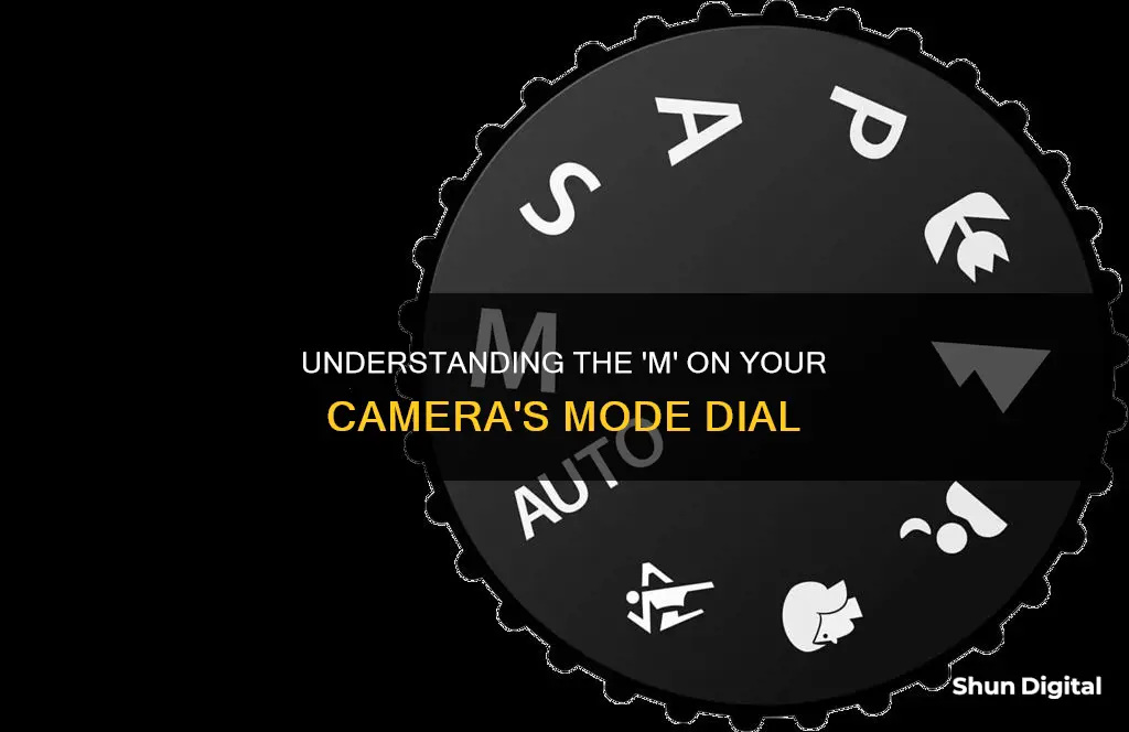 what does m stand for on the camera mode dial