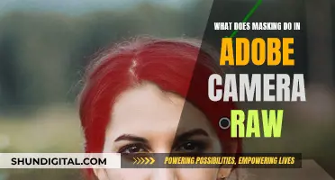 How Masking in Adobe Camera Raw Transforms Photos