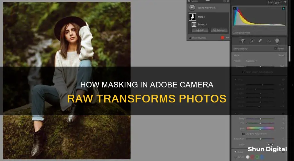 what does masking do in adobe camera raw