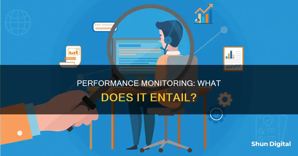 what does monitoring performance involve