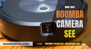 Roomba's Vision: Understanding the World Through a Robot's Eyes