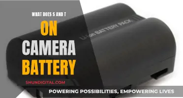 Understanding Camera Battery Labels: S and T Explained