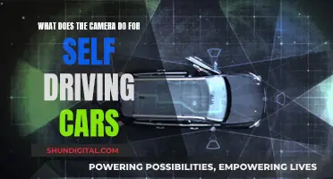 Cameras: The Eyes of Self-Driving Cars