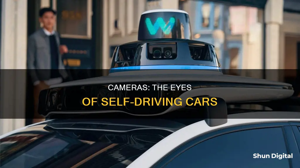 what does the camera do for self driving cars