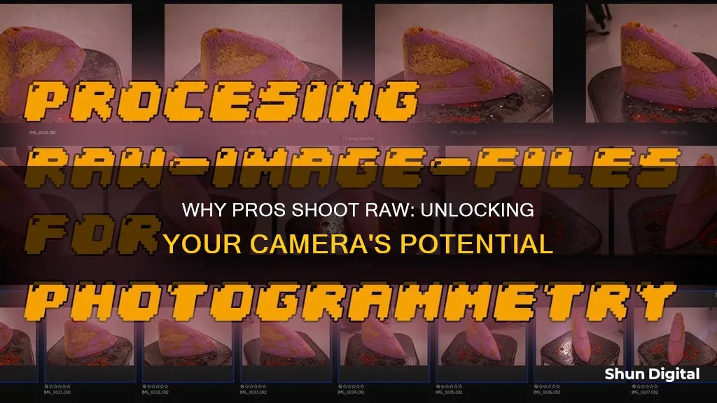 what does the camera do when shooting in raw format