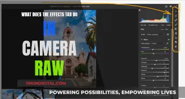 Exploring the Creative Power of Camera Raw's Effects Tab