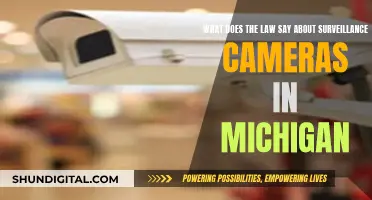 Surveillance Cameras in Michigan: What's the Law?