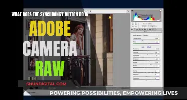 Exploring the Sync Button in Adobe Camera Raw