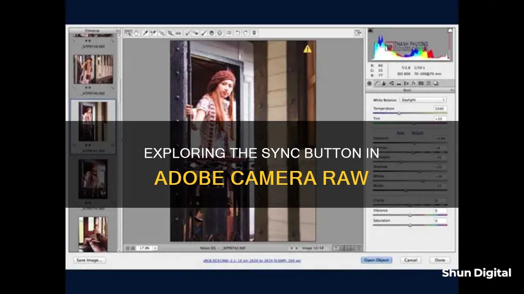 what does the synchronize button do in adobe camera raw