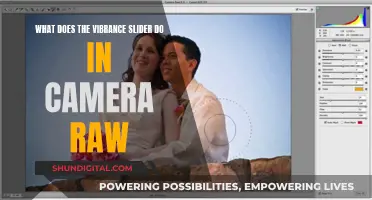 Understanding Vibrance Slider: Enhancing Your Photos in Camera Raw