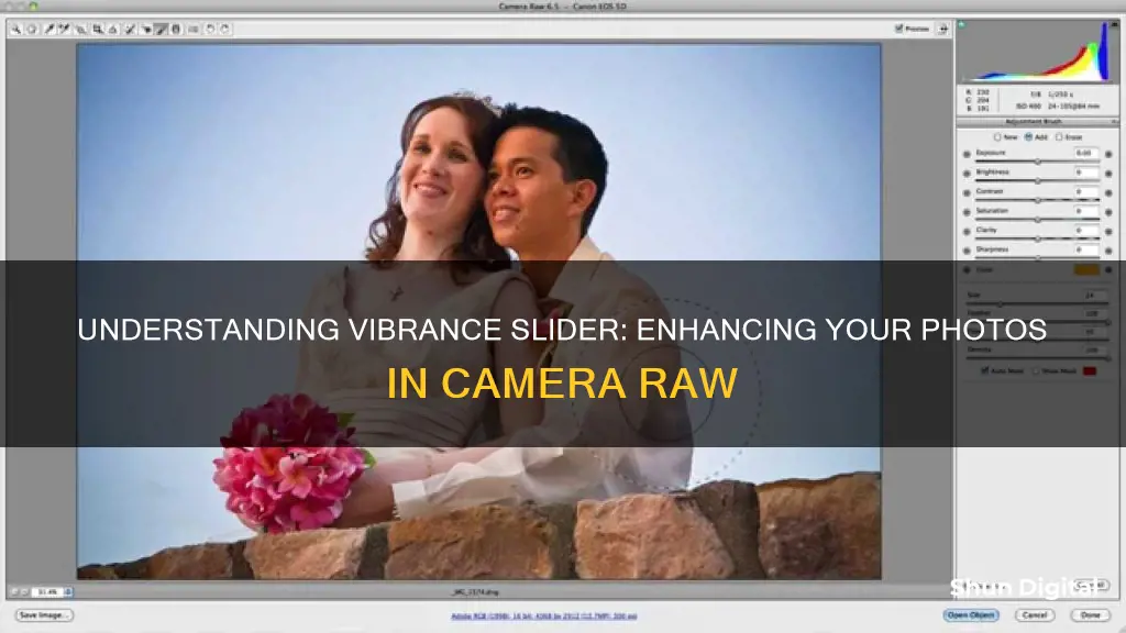 what does the vibrance slider do in camera raw