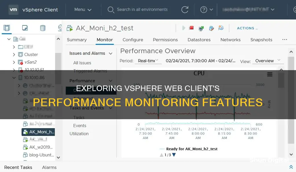 what does vsphere web client performance monitor