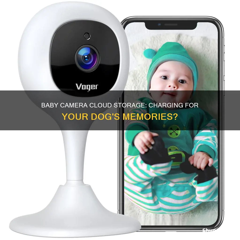 what dog baby camera does not charge cloud arrangement