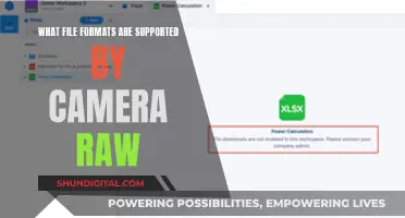 Supported File Formats for Camera Raw Explained