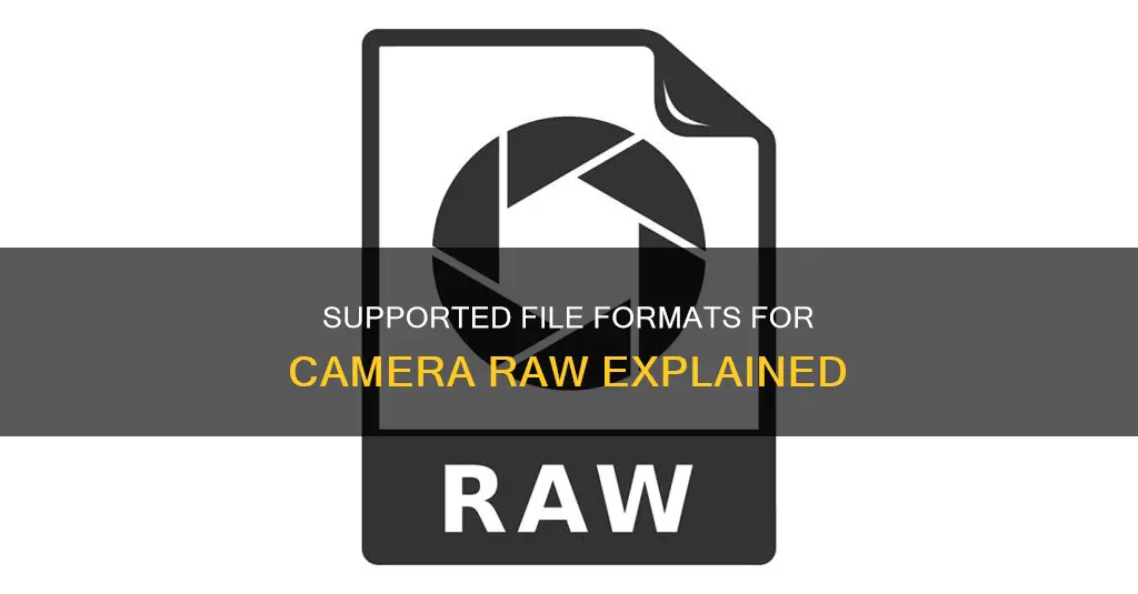 what file formats are supported by camera raw