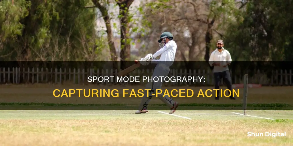 what focus should you be on for sport mode camera