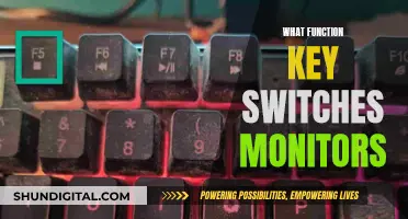 Function Keys: Switching Monitors, Simplified