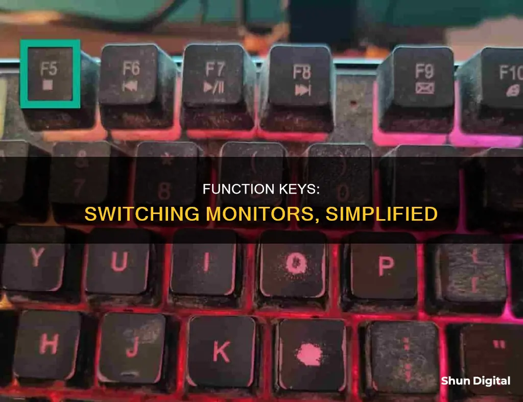 what function key switches monitors