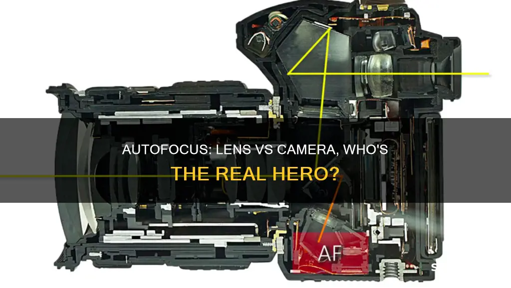 what handles autofocus the lense or the camera