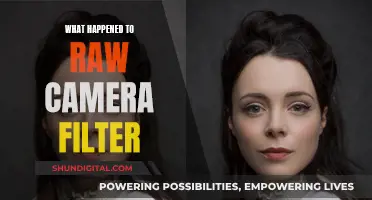 The Raw Camera Filter: Where Did It Go?