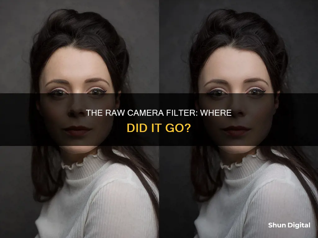 what happened to raw camera filter