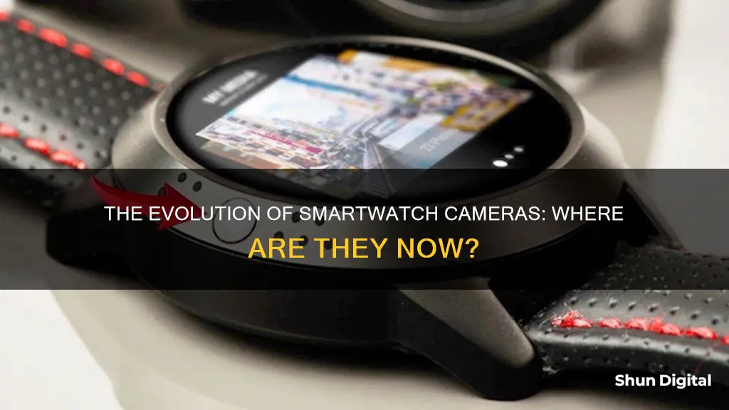 what happened to smart watch camera