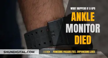 Ankle Monitor Battery Death: What's the Verdict?