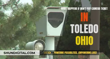 Toledo Traffic Camera Tickets: What's the Fine for Not Paying?